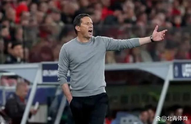 一仆二主48集电视连续剧爱奇艺