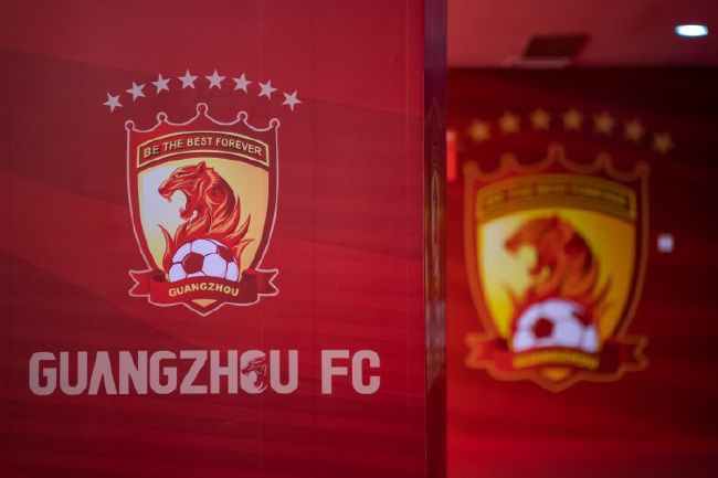 绯红小猫