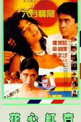 男女高潮网站