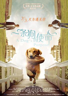 我来也我去也在线观看