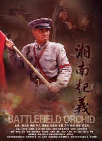 手机看片9