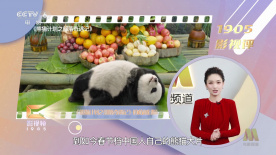 精品三级国产精品经典三